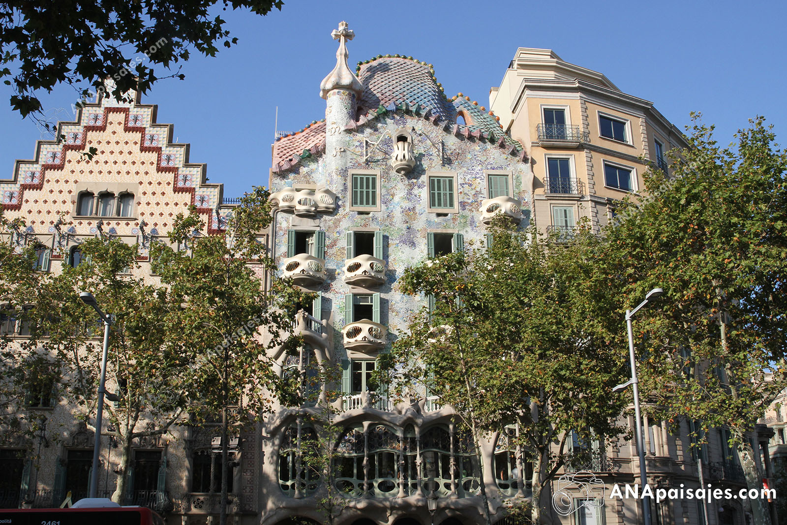 BCN19-0001