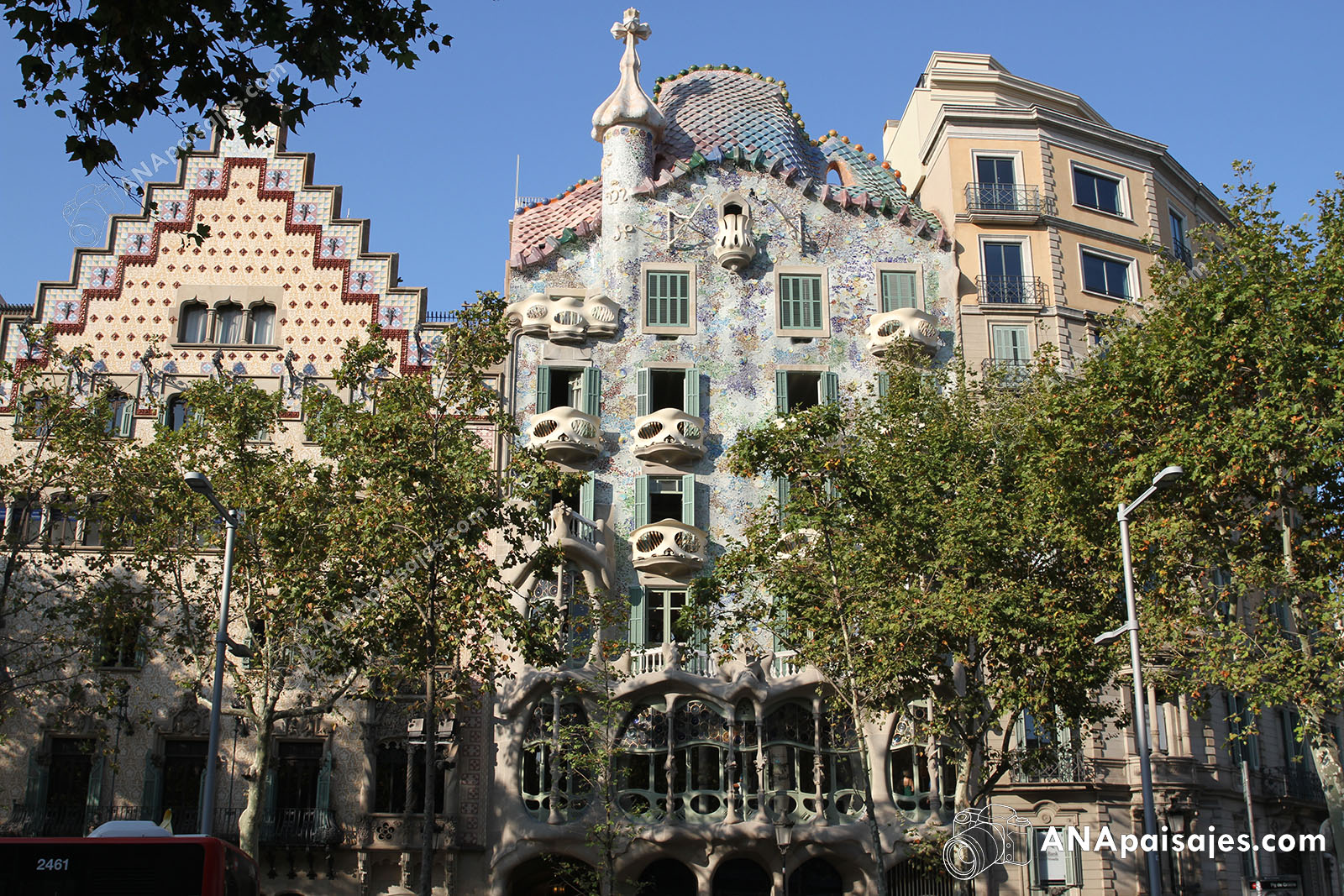 BCN19-0004