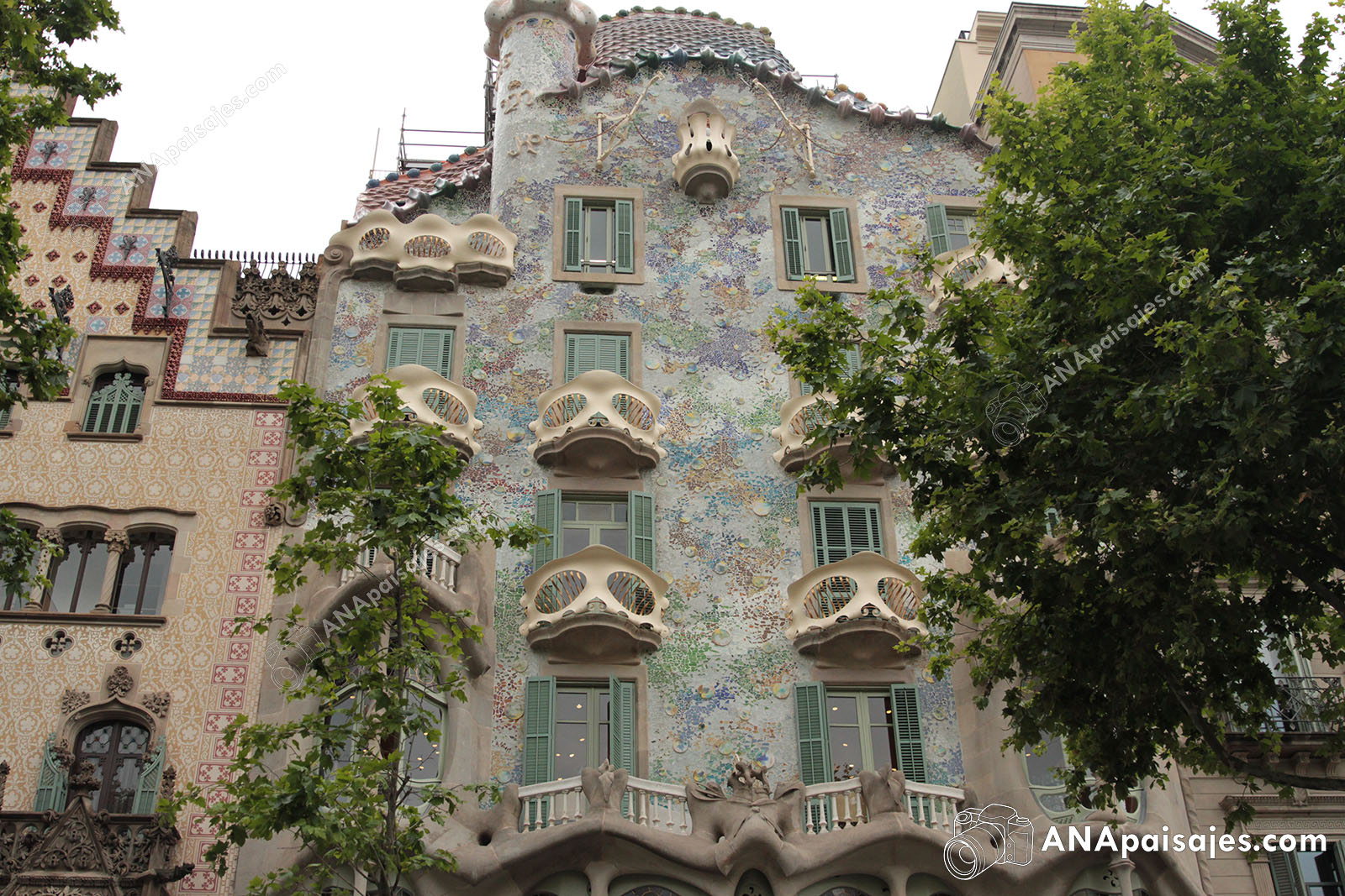 BCN19-0012