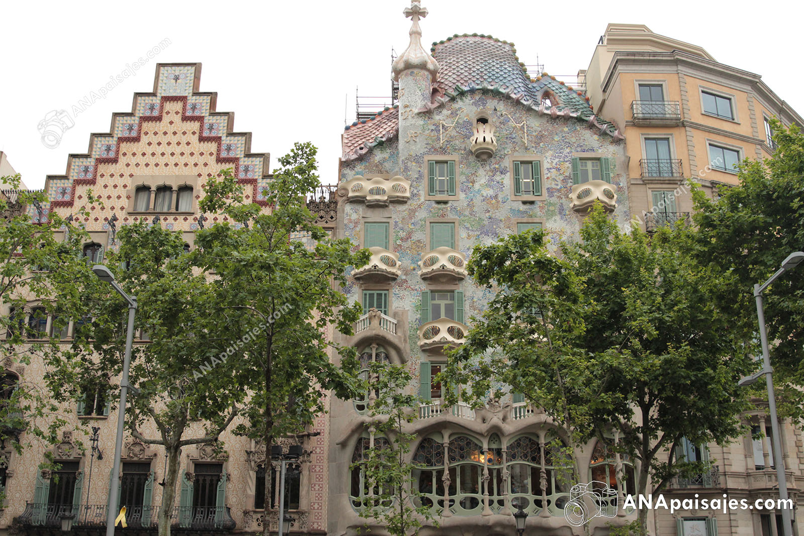 BCN19-0013