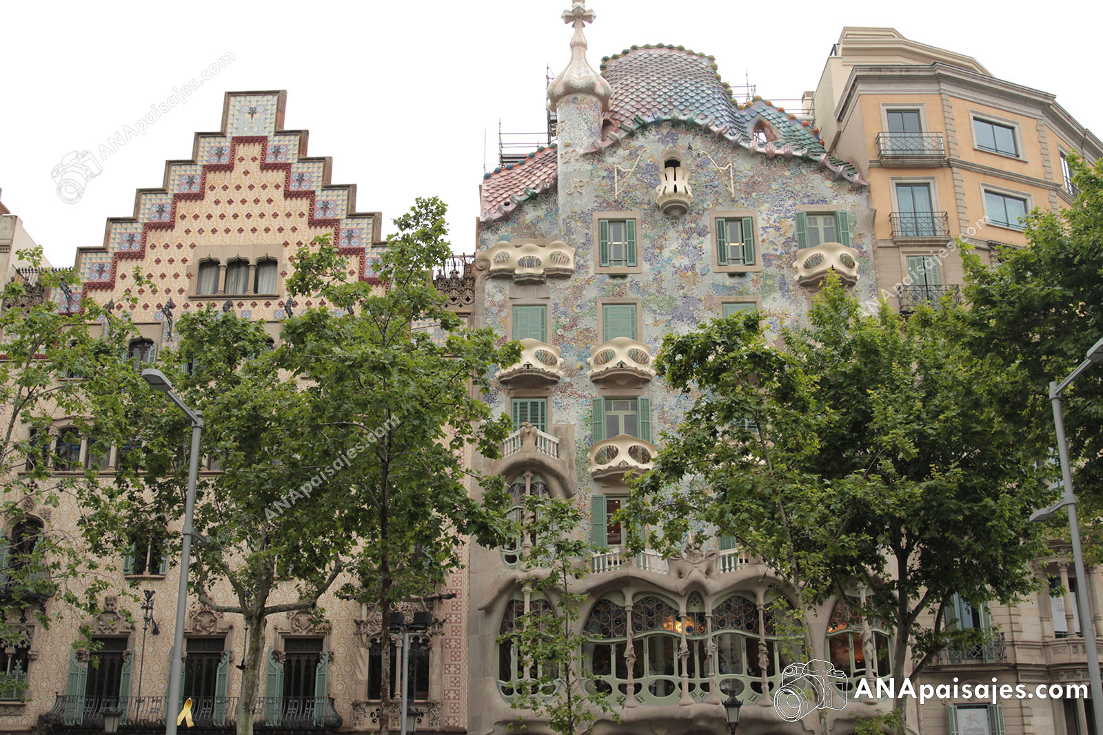 BCN19-0014