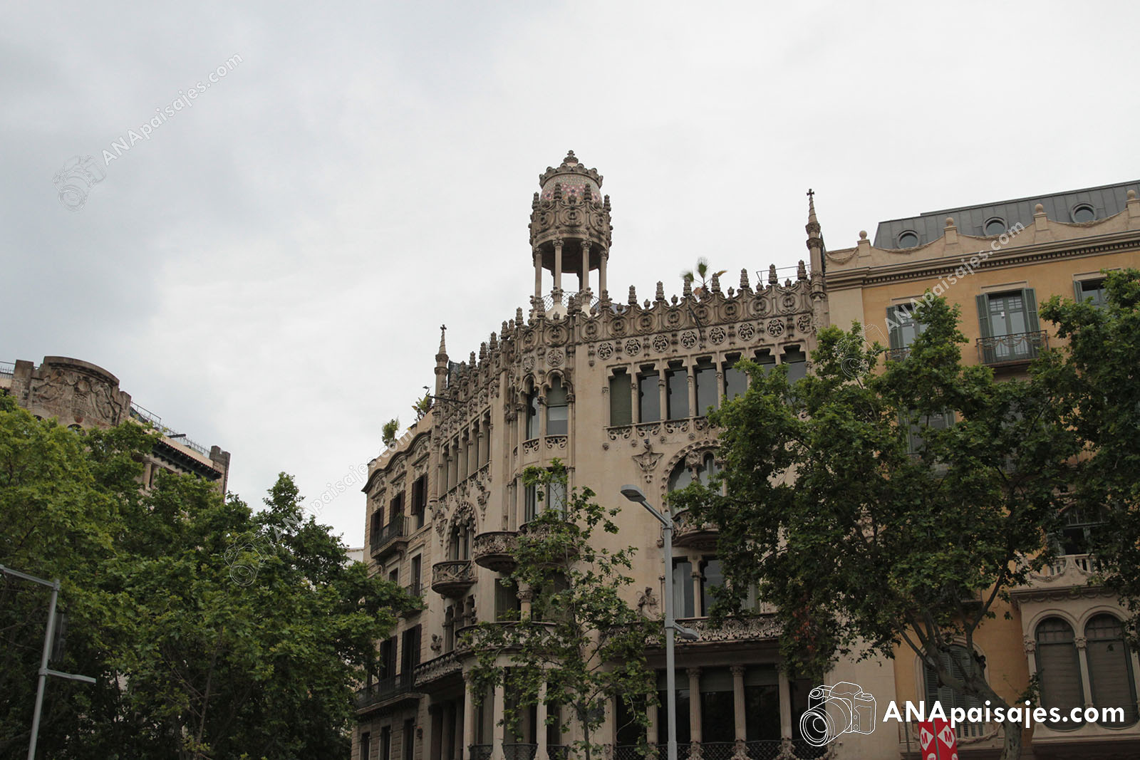 BCN19-0024