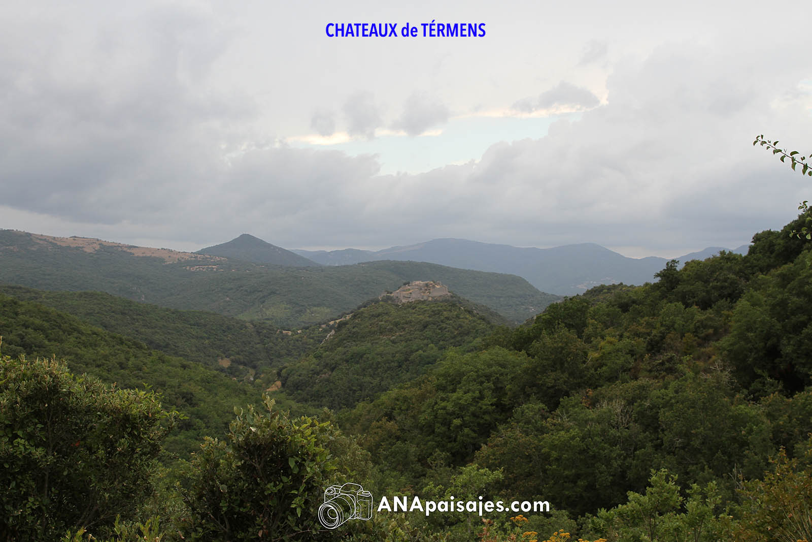 CHTX_0021