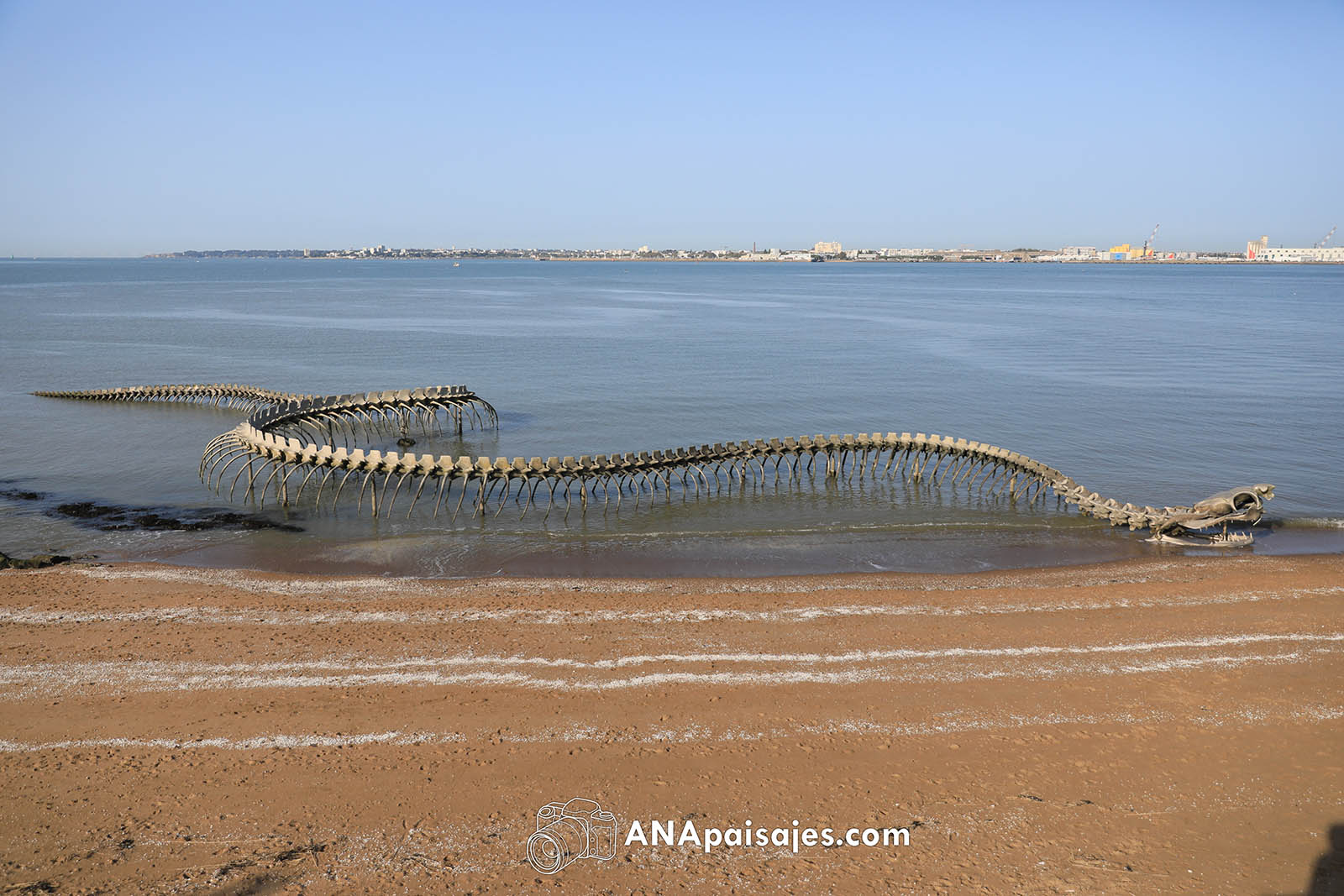 Serpent d'Ocean - Francia