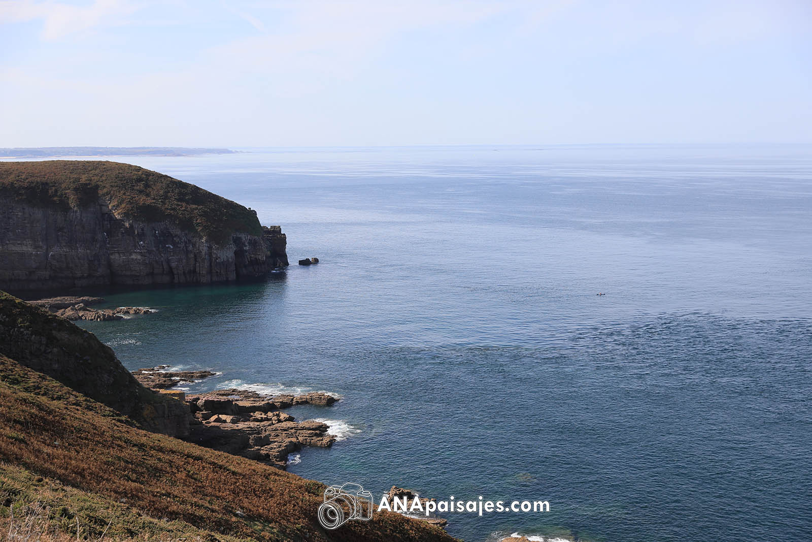 MSM-0393
