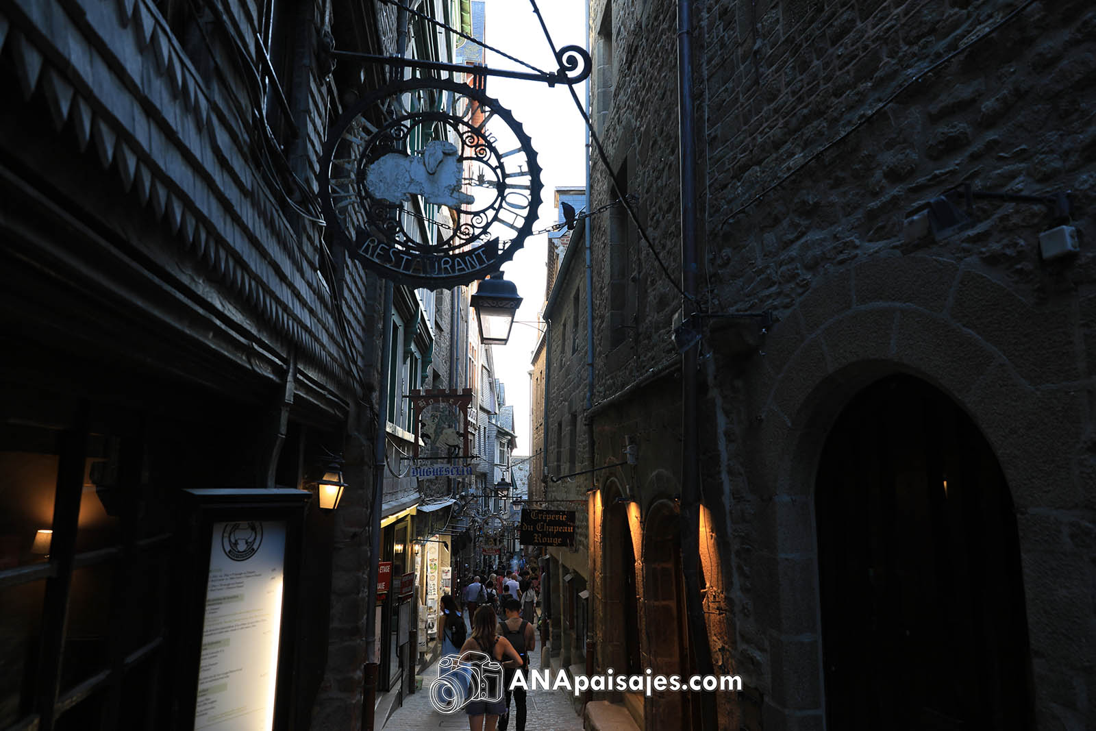 MSM-0491