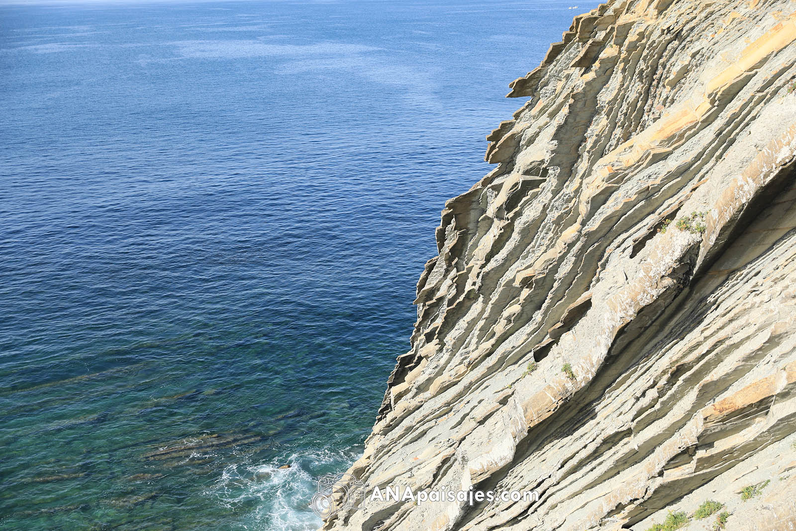 MSM-0821