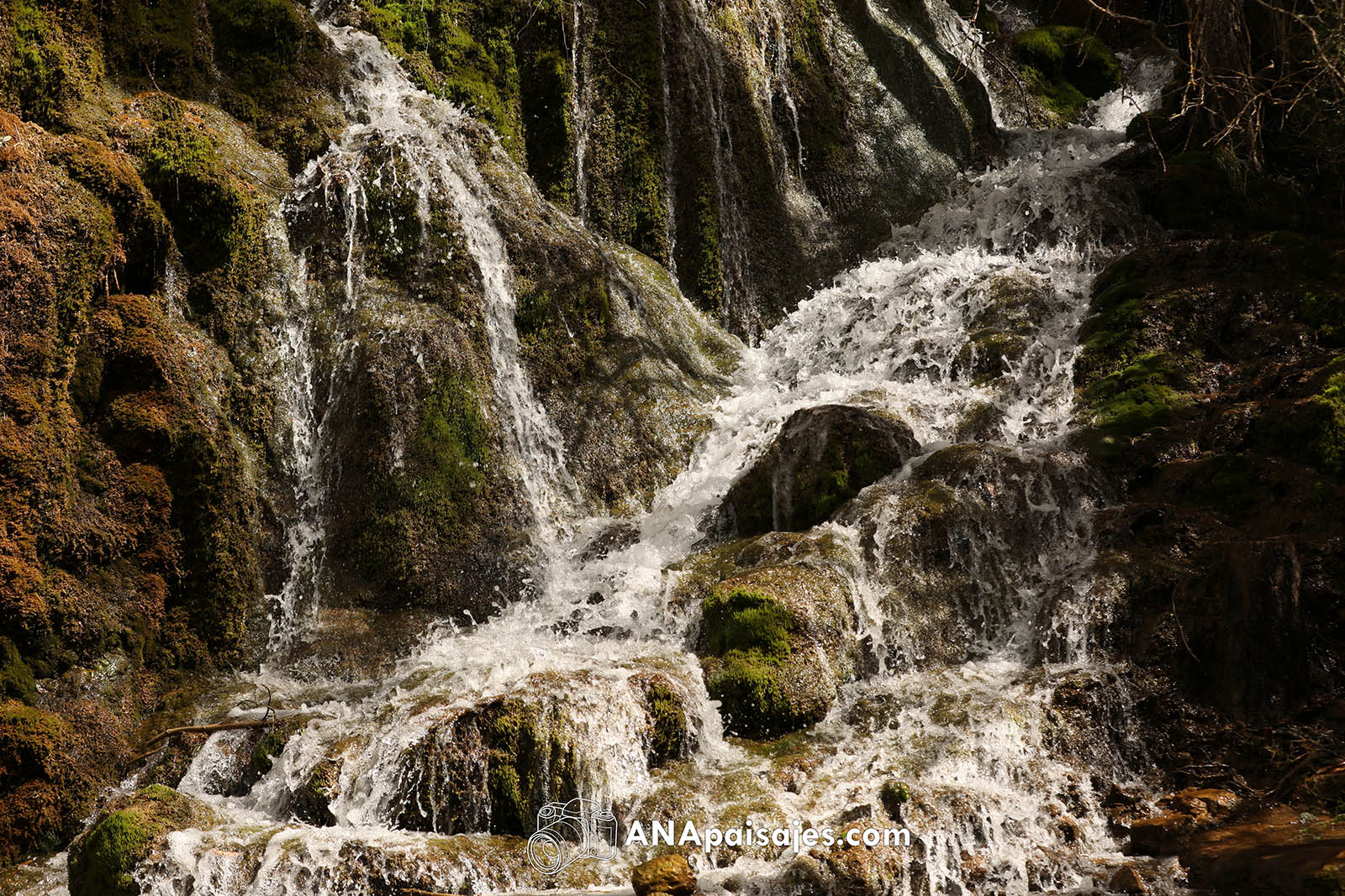 RCV26-0002