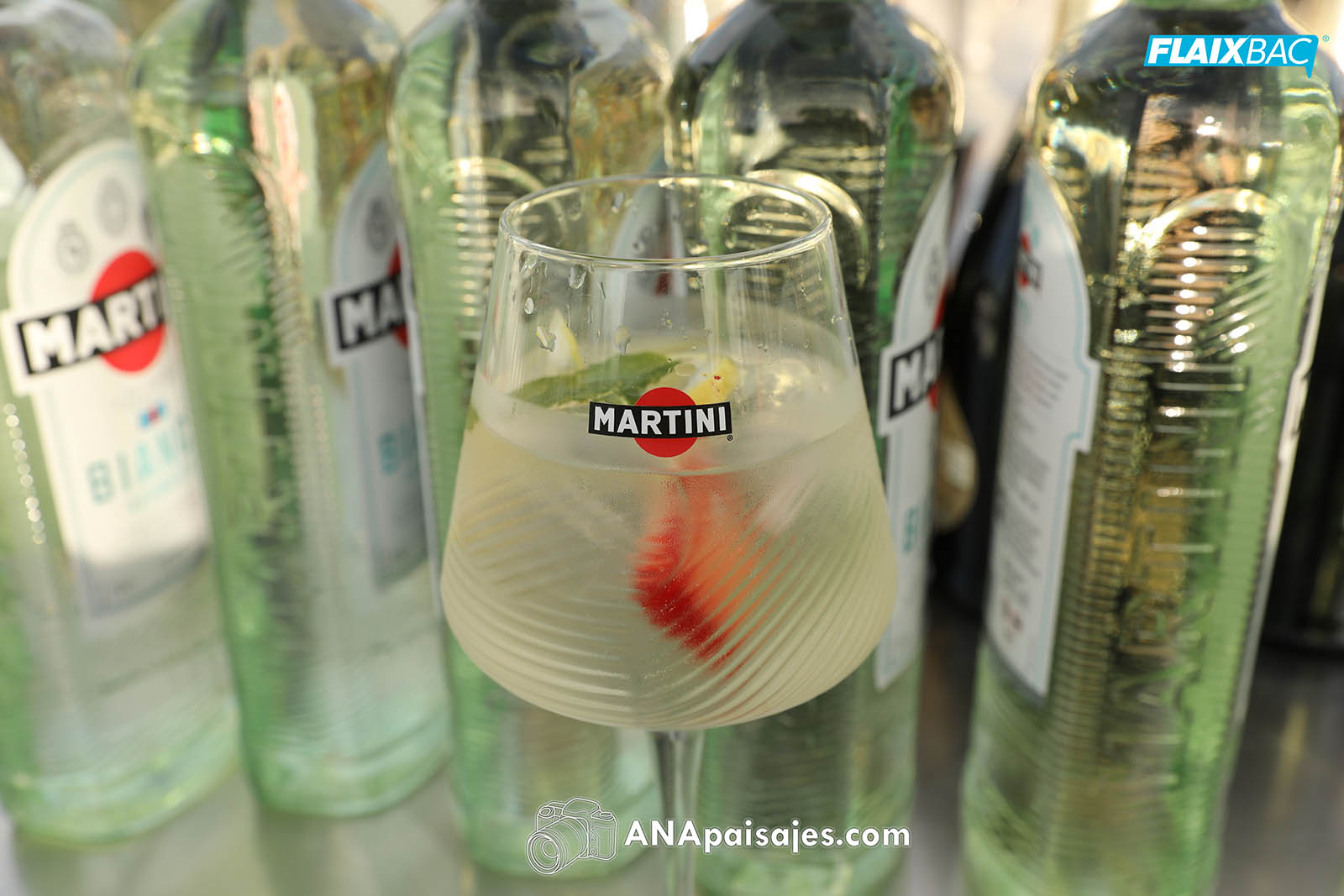 TAR26-1-0024